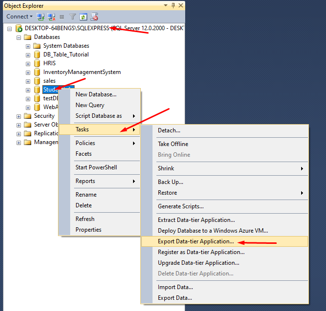 Export(Backup) SQL Database In SSMS In Local Machine - Coding Is Life